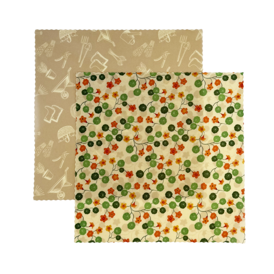 Nasturtium Garden - Medium -  2 Pack