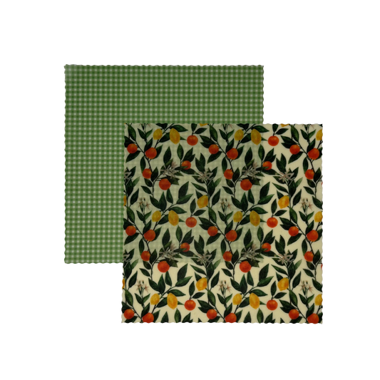 Oranges & Lemons - Small -  2 Pack